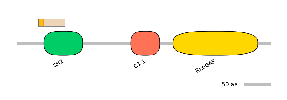 HsaINT0035038-EXC