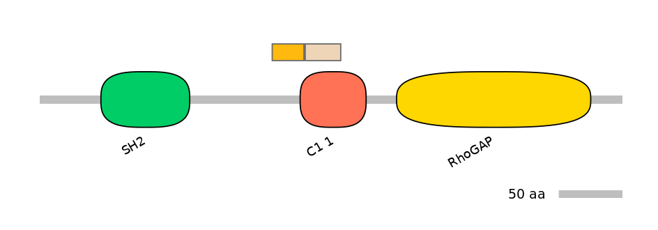 HsaINT0035041-EXC