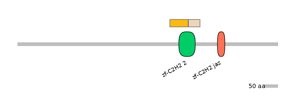HsaINT0035574-EXC