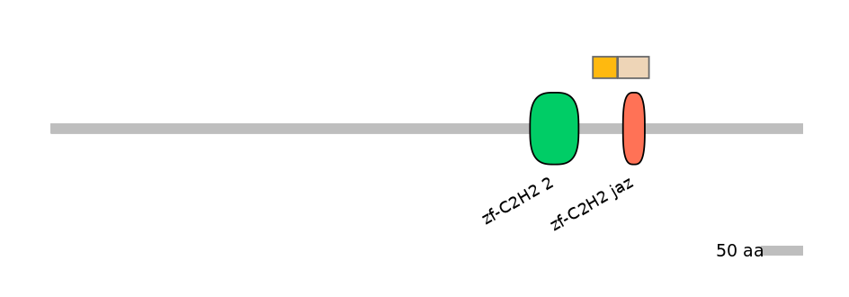 HsaINT0035576-EXC