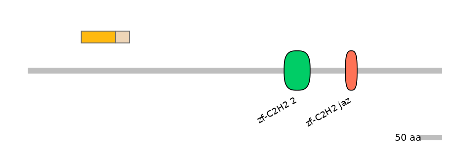 HsaINT0035584-EXC