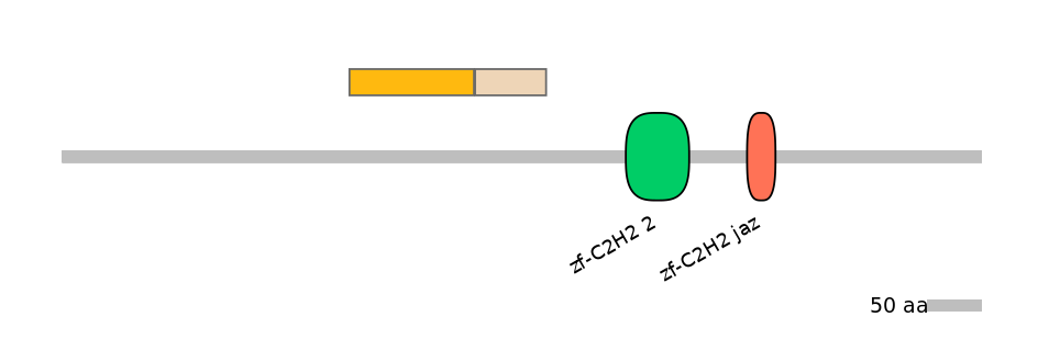 HsaINT0035586-EXC