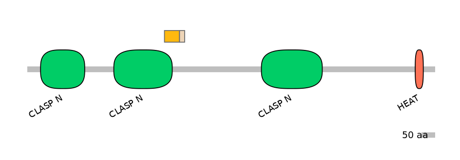 HsaINT0035754-EXC