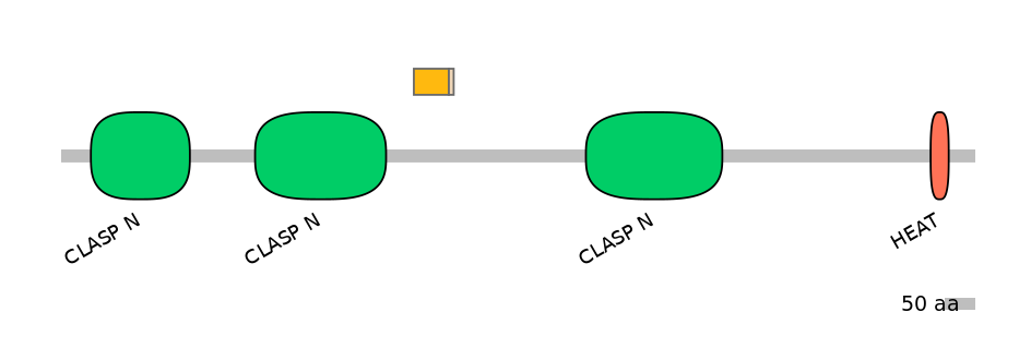 HsaINT0035756-EXC