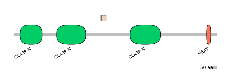 HsaINT0035759-EXC