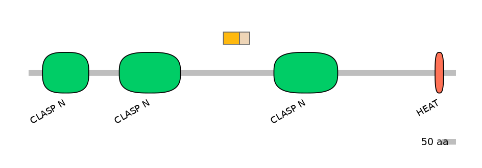 HsaINT0035761-EXC