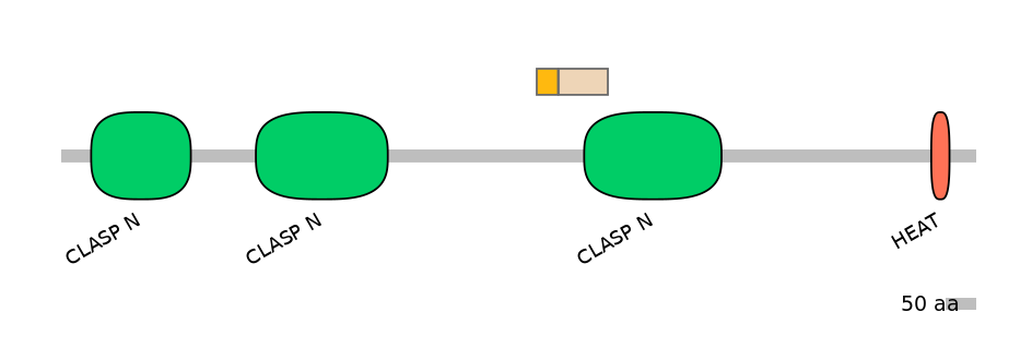 HsaINT0035763-EXC