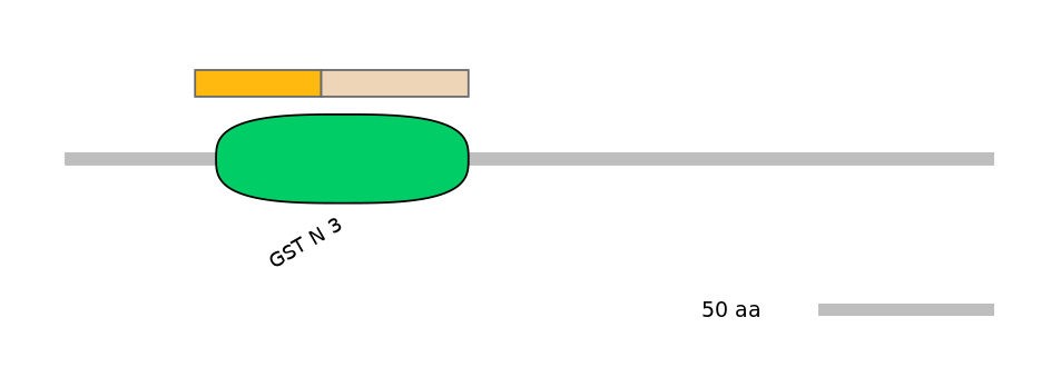 HsaINT0036313-EXC