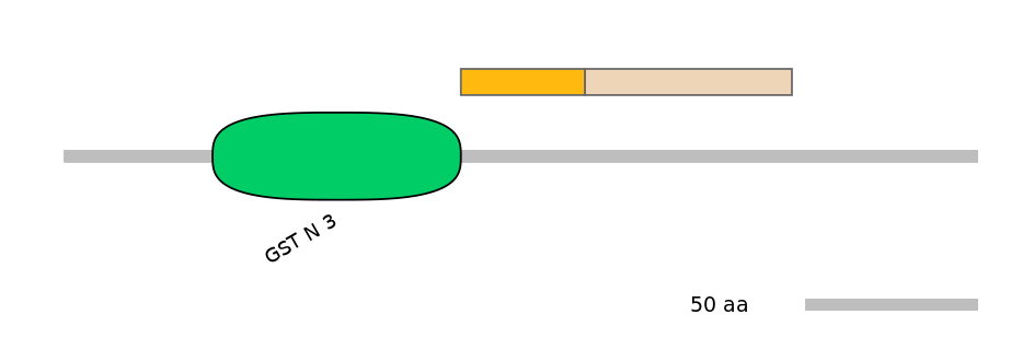HsaINT0036315-EXC