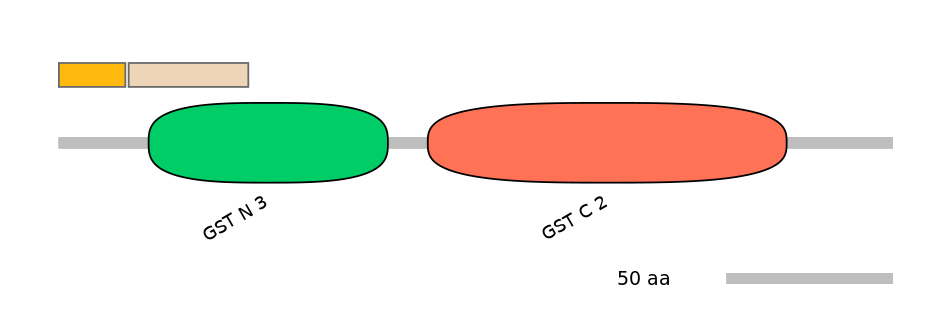 HsaINT0036328-EXC