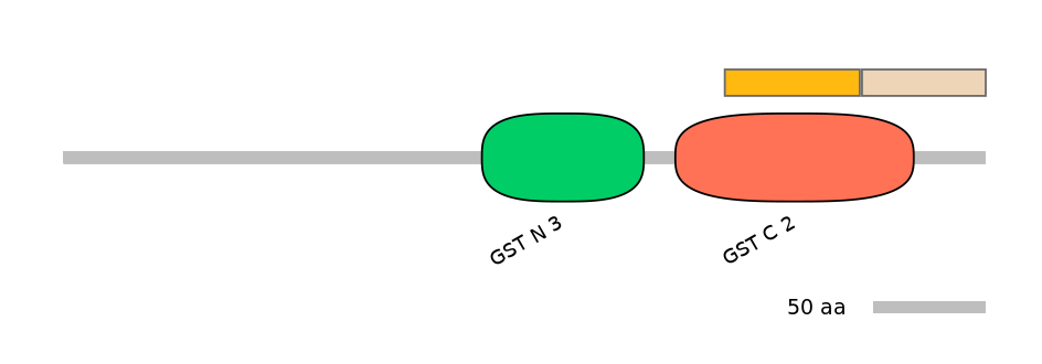 HsaINT0036332-EXC