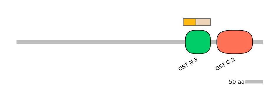 HsaINT0036334-EXC