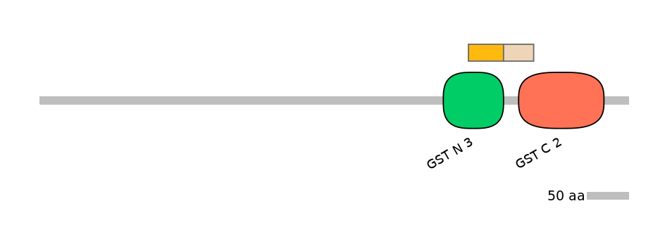 HsaINT0036335-EXC