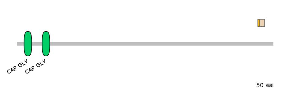 HsaINT0036363-EXC