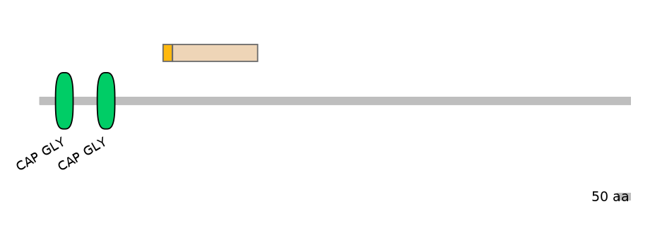 HsaINT0036371-EXC