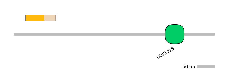 HsaINT0037721-EXC