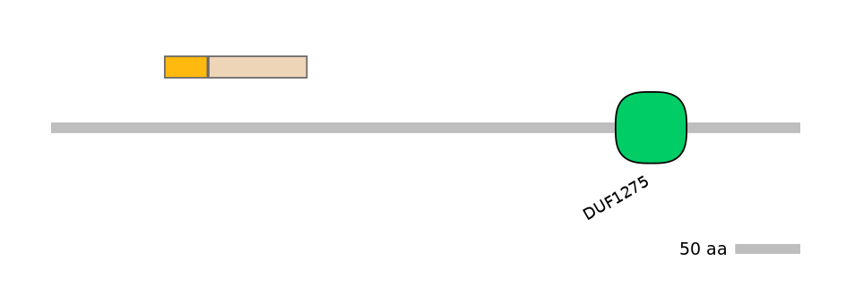 HsaINT0037722-EXC