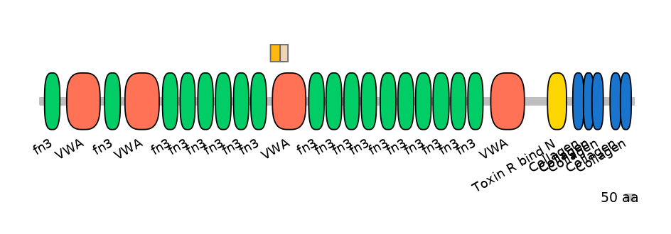 HsaINT0037959-EXC
