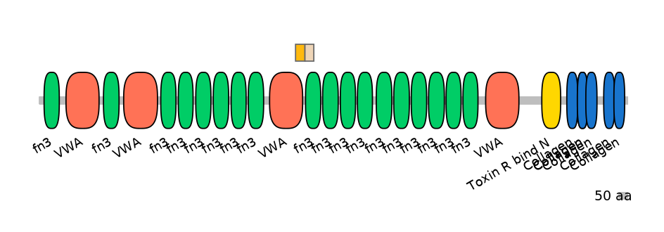HsaINT0037963-EXC