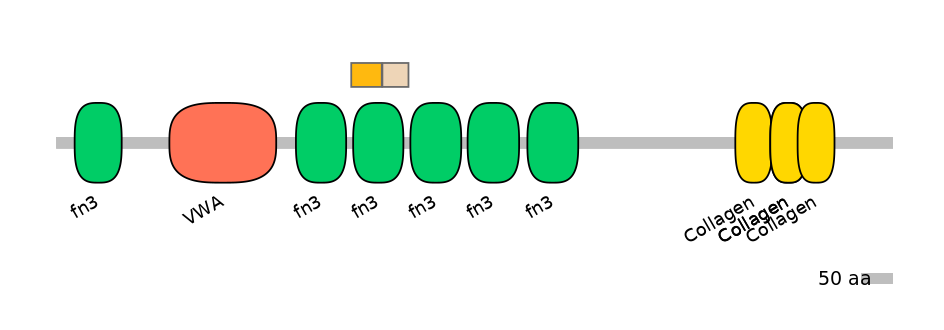 HsaINT0038471-EXC