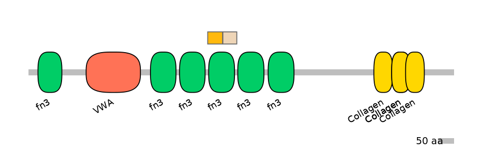 HsaINT0038473-EXC
