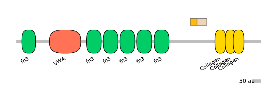 HsaINT0038483-EXC