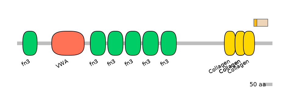 HsaINT0038494-EXC