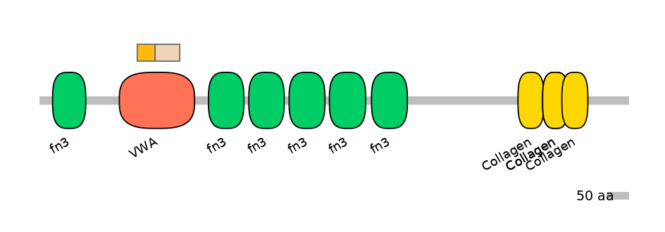 HsaINT0038500-EXC