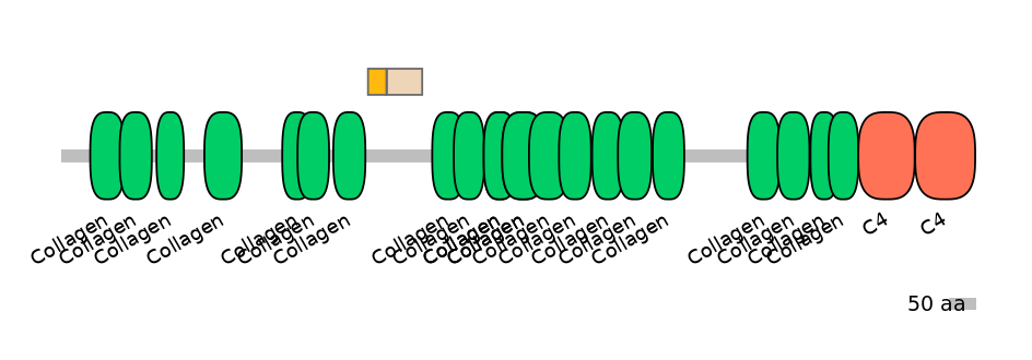 HsaINT0038982-EXC
