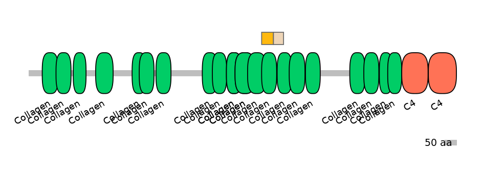 HsaINT0038991-EXC