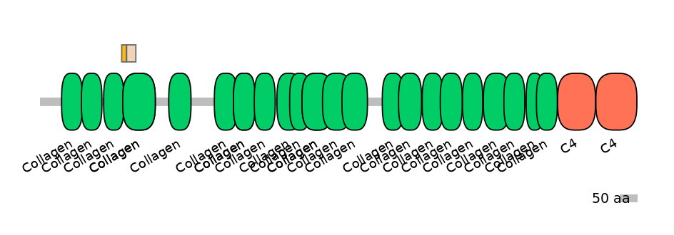 HsaINT0039085-EXC