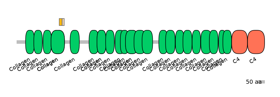 HsaINT0039088-EXC