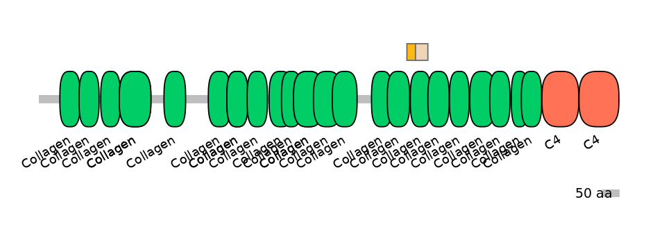HsaINT0039110-EXC