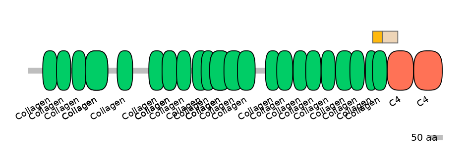HsaINT0039121-EXC