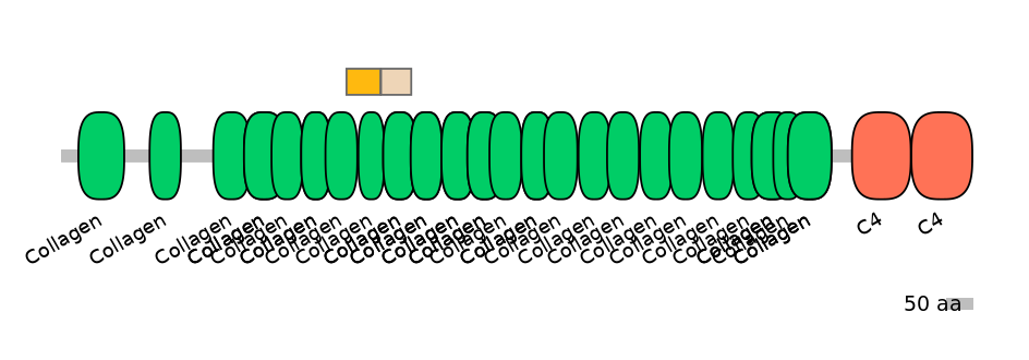 HsaINT0039145-EXC