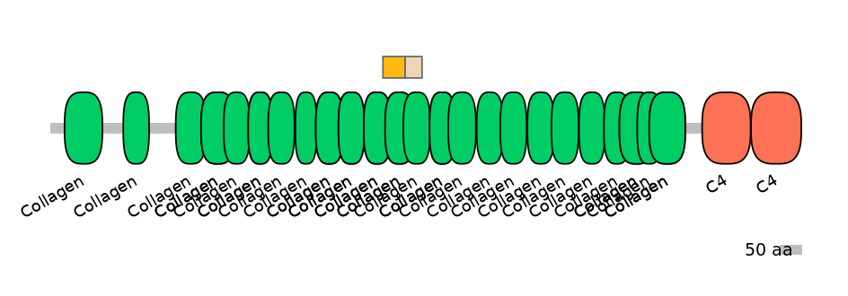 HsaINT0039150-EXC