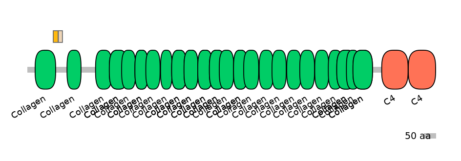 HsaINT0039174-EXC