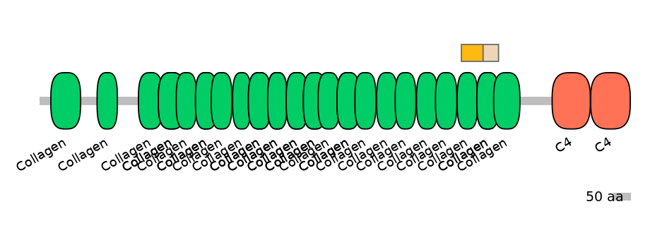 HsaINT0039178-EXC