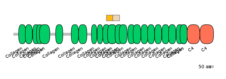 HsaINT0039199-EXC
