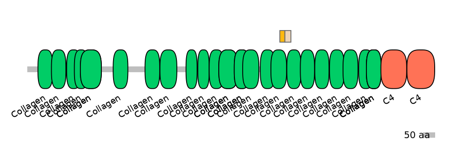 HsaINT0039205-EXC