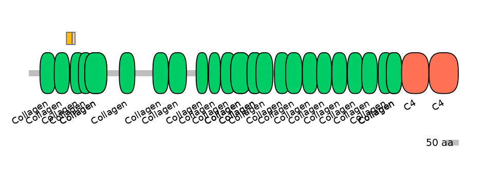 HsaINT0039221-EXC