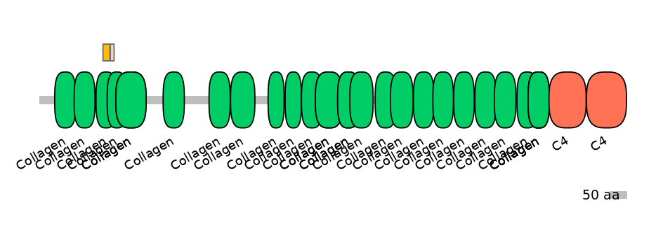 HsaINT0039223-EXC