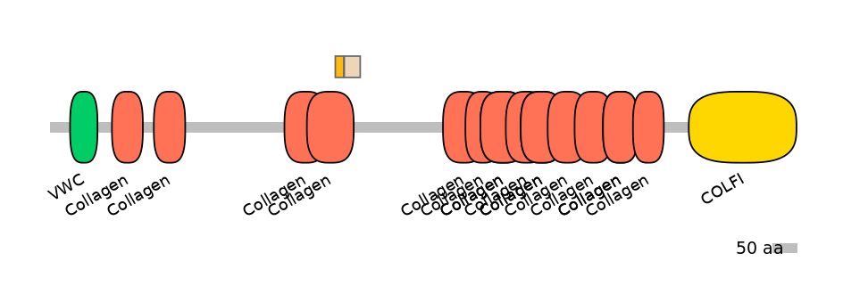 HsaINT0039307-EXC