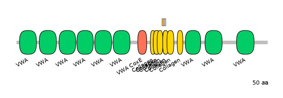 HsaINT0039551-EXC