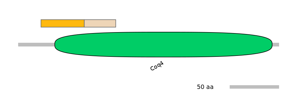 HsaINT0040189-EXC