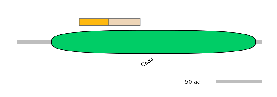HsaINT0040190-EXC