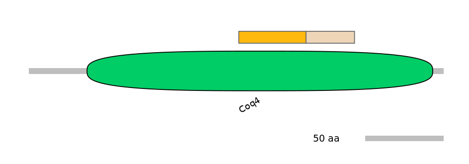 HsaINT0040192-EXC