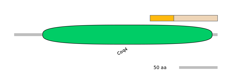 HsaINT0040193-EXC