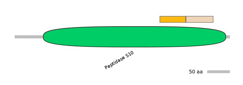 HsaINT0041062-EXC