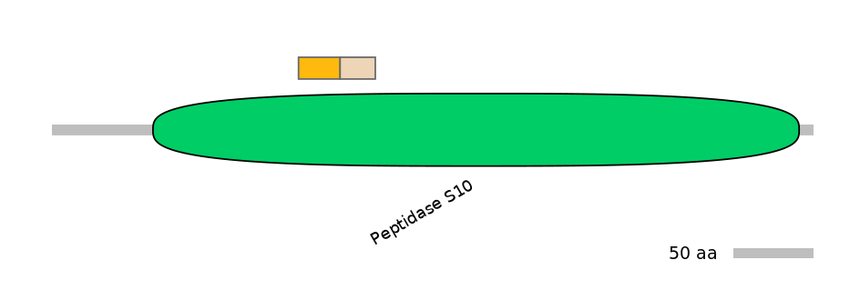 HsaINT0041068-EXC